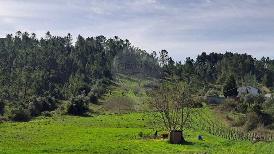 Terreno para Venda em Trouxemil e Torre de Vilela