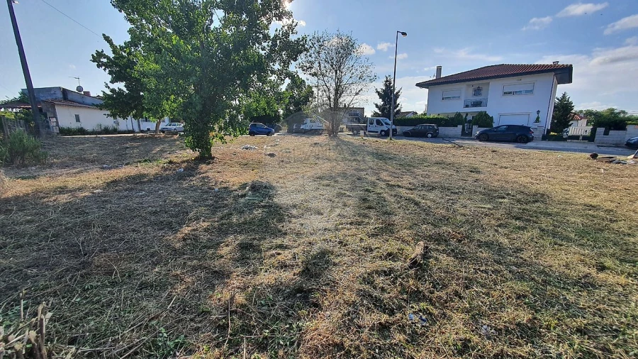 Terreno para Venda em São Martinho do Bispo e Ribeira de Frades Foto 6