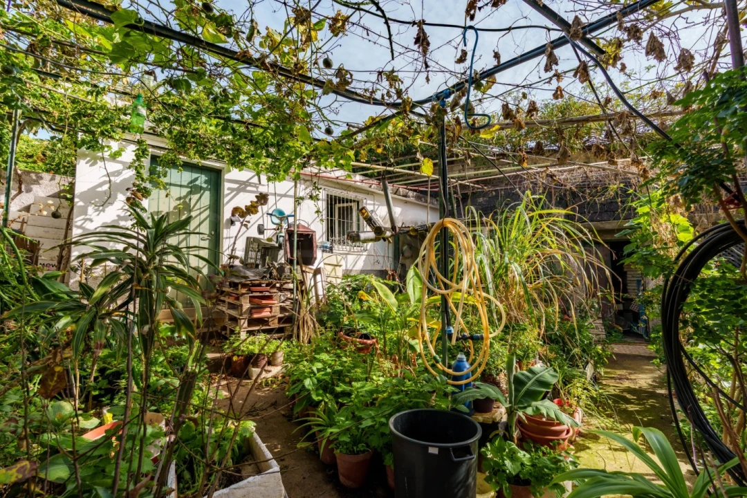 Moradia T3 para Venda em Caniço Foto 34