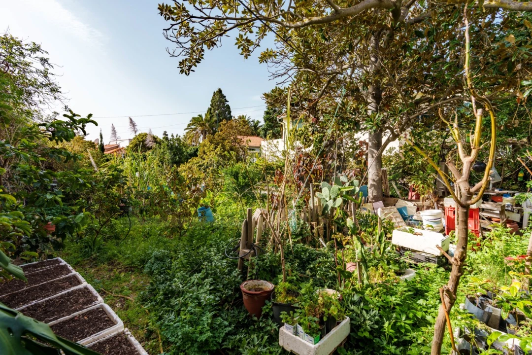 Moradia T3 para Venda em Caniço Foto 35