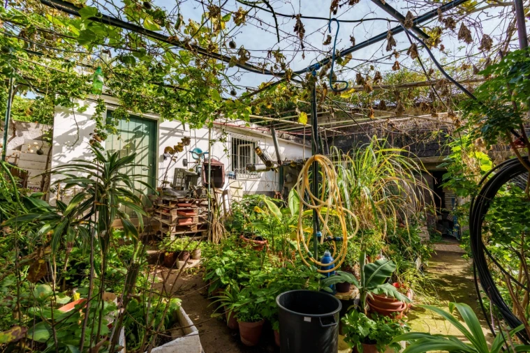 Moradia T3 para Venda em Caniço Foto 34