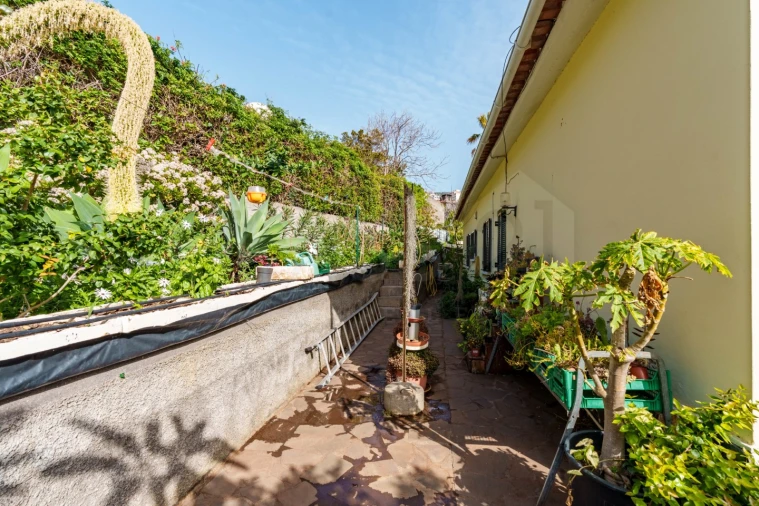 Moradia T3 para Venda em Caniço Foto 28