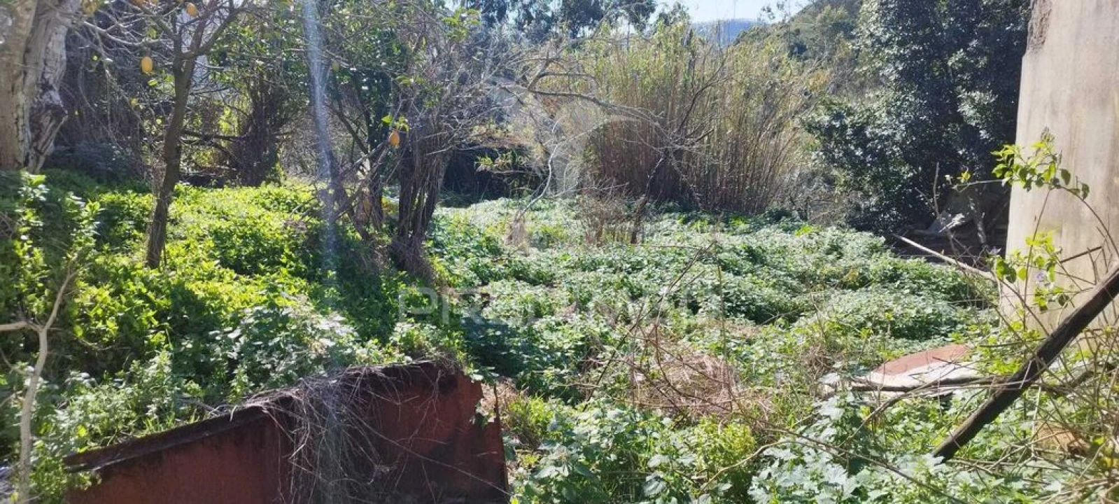 Moradia T3 para Venda em Santa Maria, São Pedro e Matacães Foto 5
