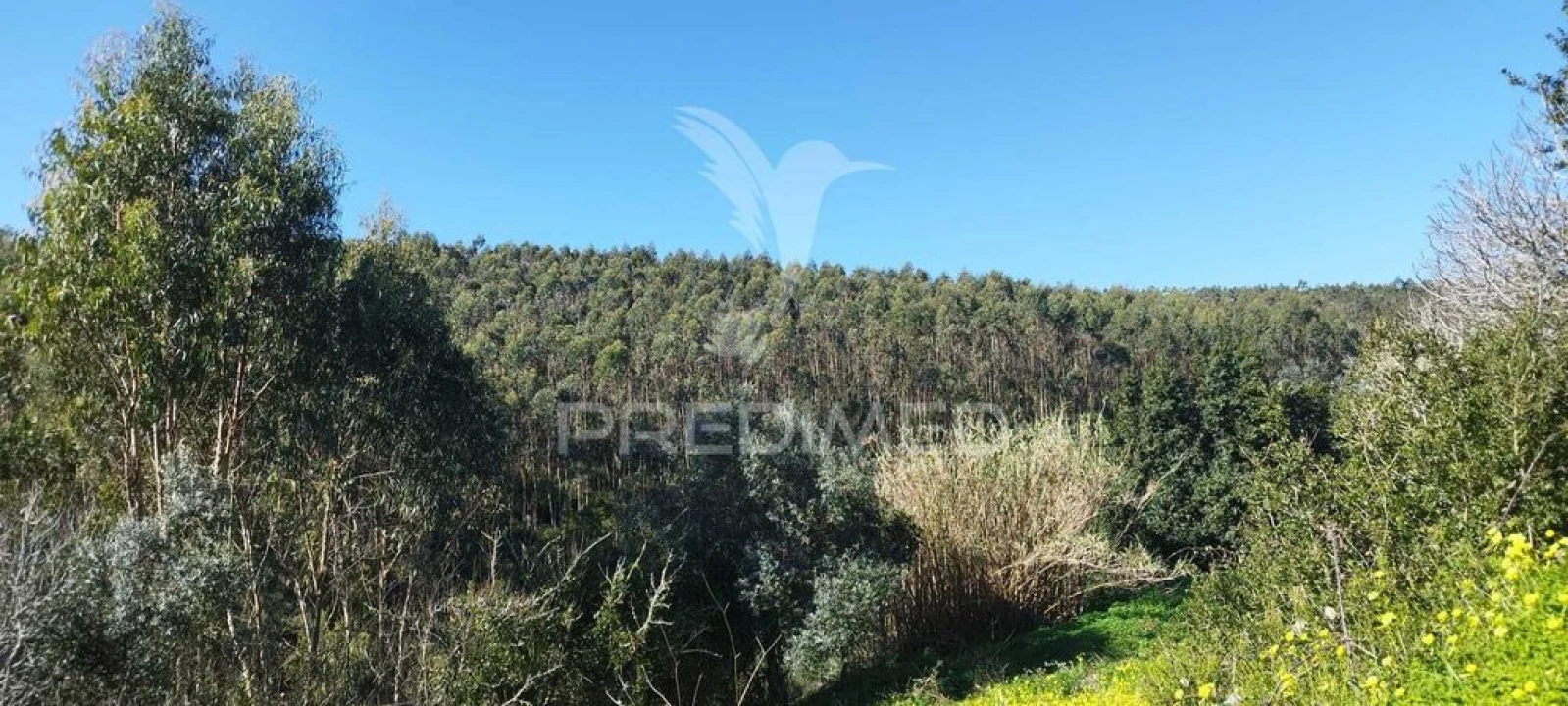 Moradia T3 para Venda em Santa Maria, São Pedro e Matacães Foto 7