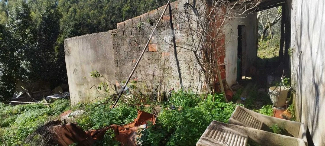 Moradia T3 para Venda em Santa Maria, São Pedro e Matacães Foto 4