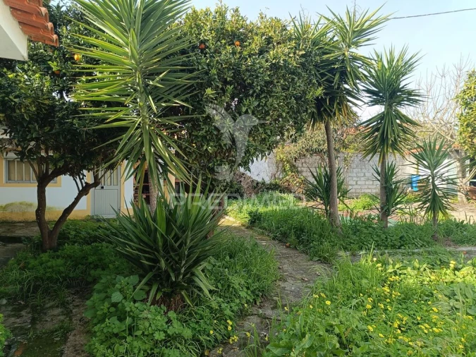 Terreno para Venda em Vale da Pedra Foto 6