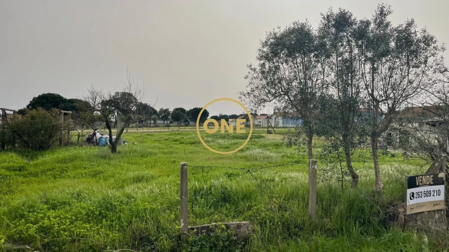 Terreno para Venda em Glória do Ribatejo e Granho