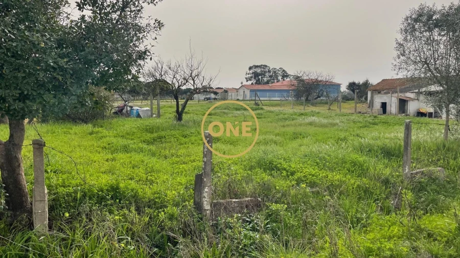 Terreno para Venda em Glória do Ribatejo e Granho Foto 2