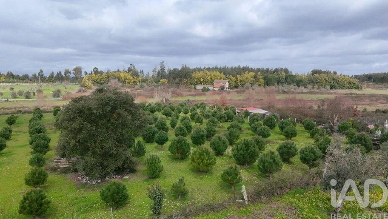 Terreno para Venda em Ervedal e Vila Franca da Beira Foto 2