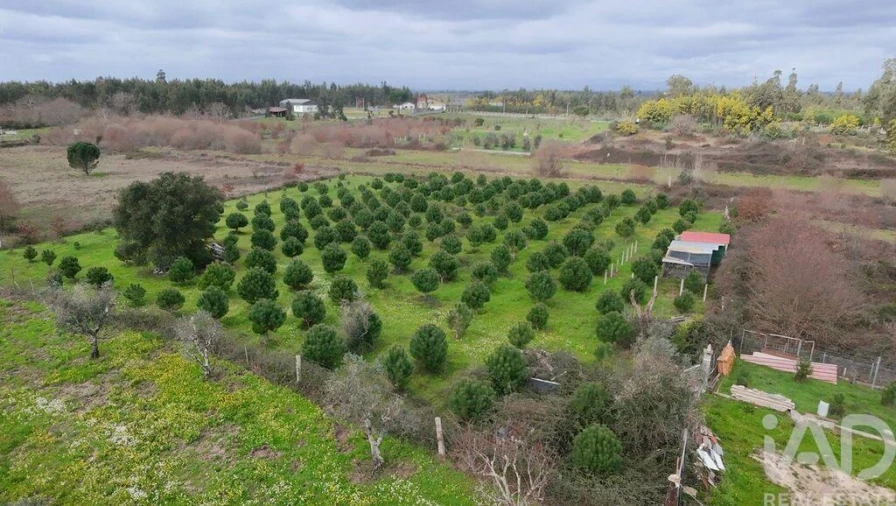 Terreno para Venda em Ervedal e Vila Franca da Beira Foto 5