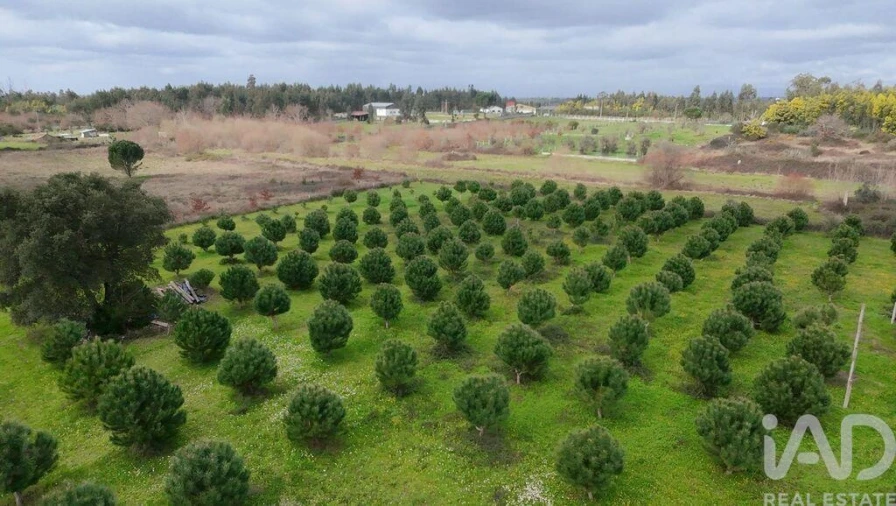 Terreno para Venda em Ervedal e Vila Franca da Beira Foto 4