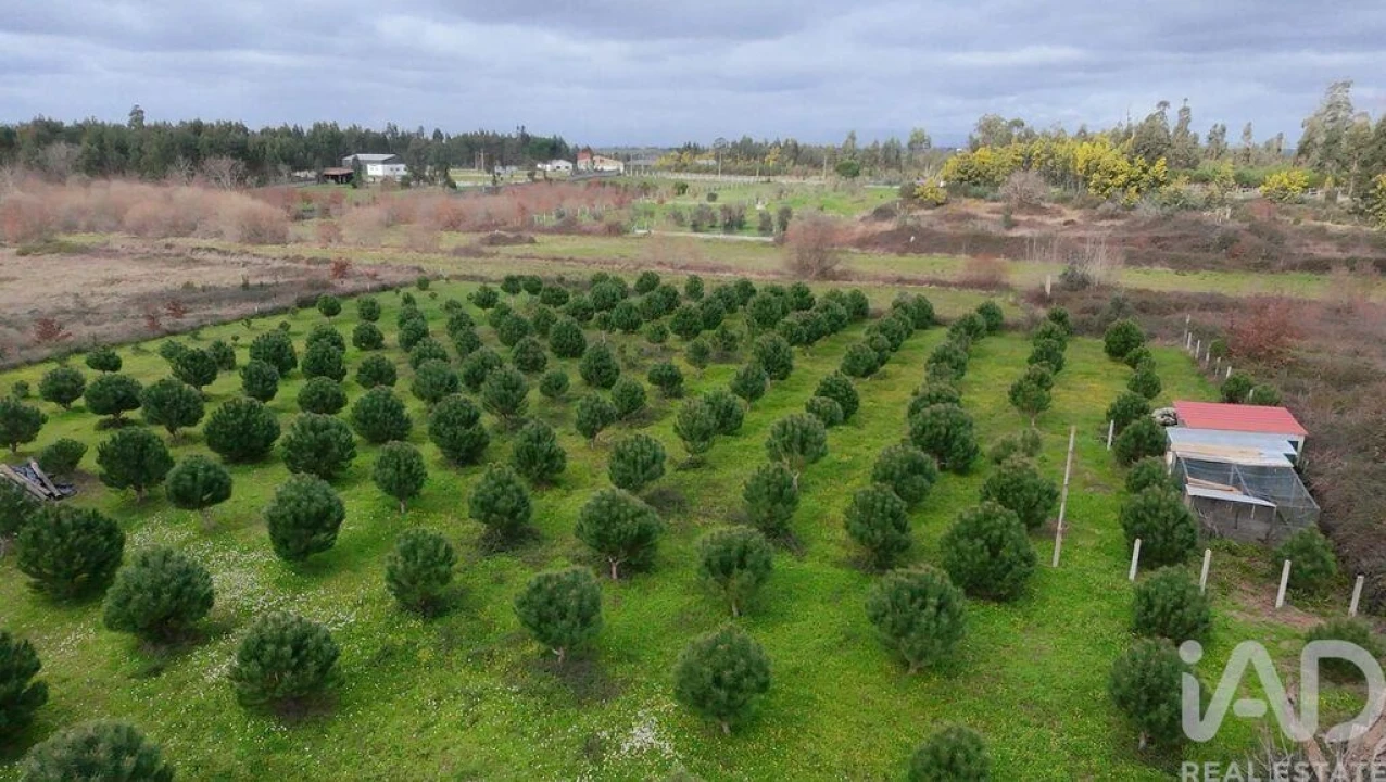 Terreno para Venda em Ervedal e Vila Franca da Beira Foto 1