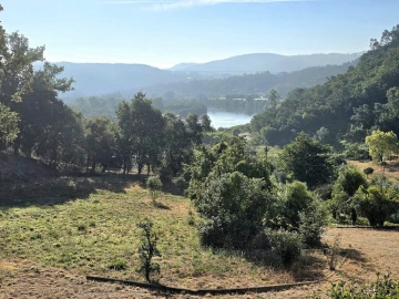 Moradia T4 para Venda em Eiras e São Paulo de Frades
