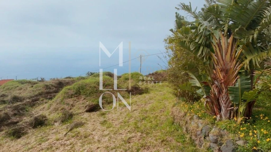 Terreno para Venda em Estreito da Calheta Foto 6
