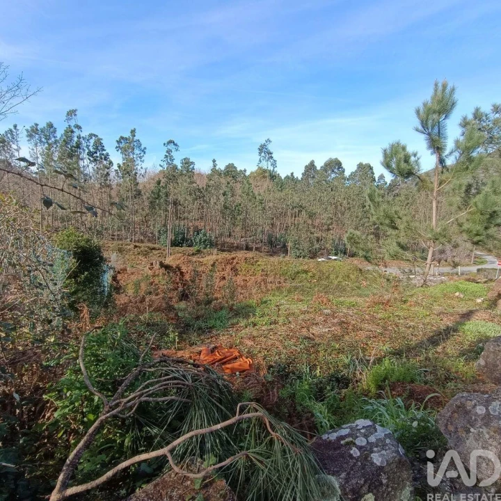 Terreno para Venda em Sopo Foto 5