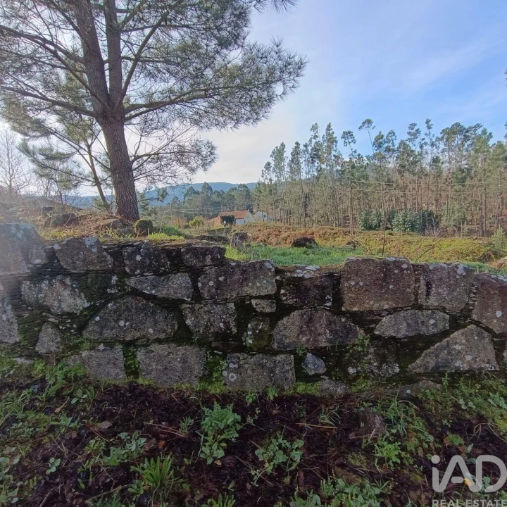 Terreno para Venda em Sopo Foto 12