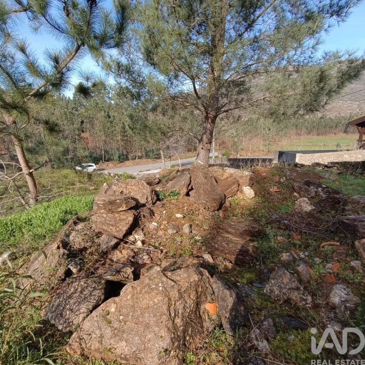 Terreno para Venda em Sopo Foto 8