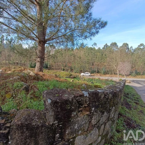 Terreno para Venda em Sopo Foto 6