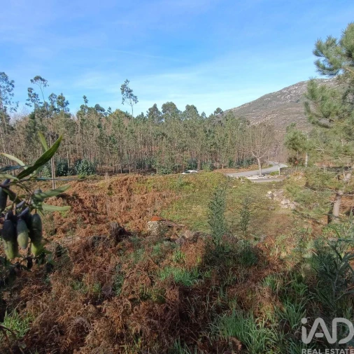 Terreno para Venda em Sopo Foto 3