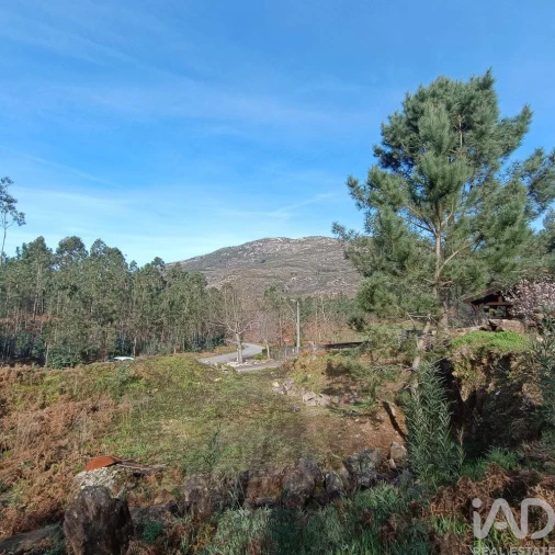 Terreno para Venda em Sopo Foto 1