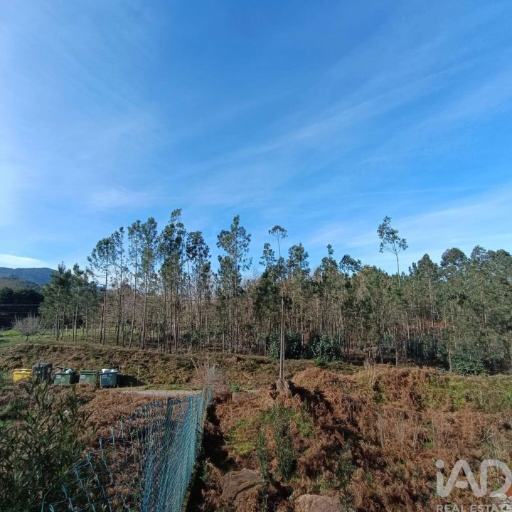 Terreno para Venda em Sopo Foto 10