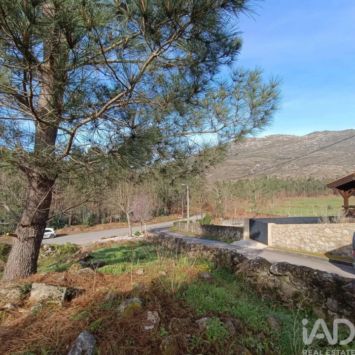 Terreno para Venda em Sopo Foto 9