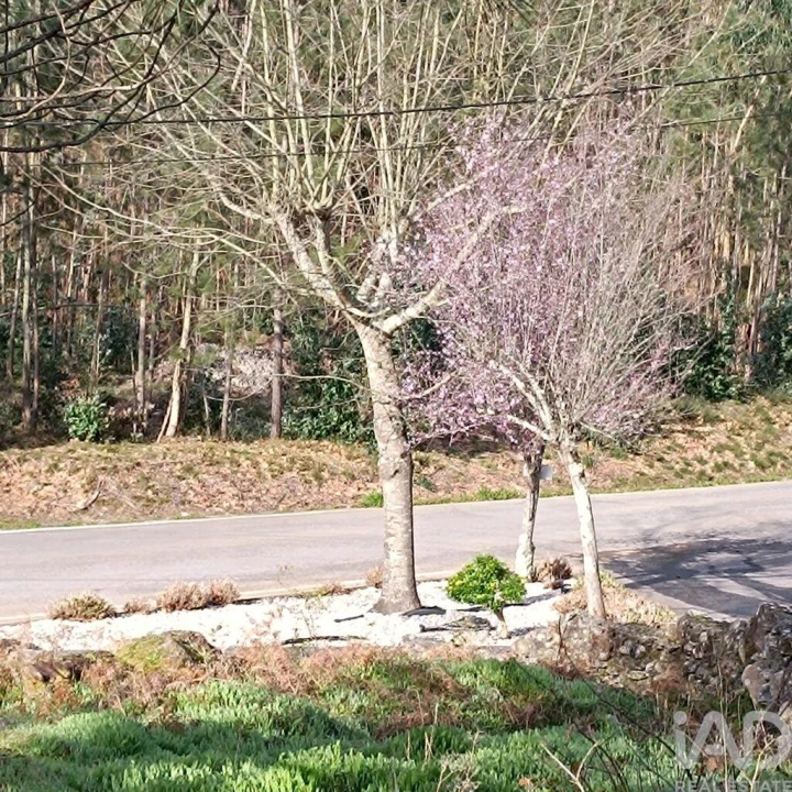 Terreno para Venda em Sopo Foto 11