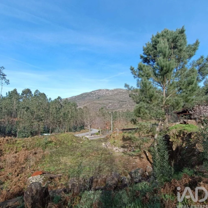Terreno para Venda em Sopo Foto 1