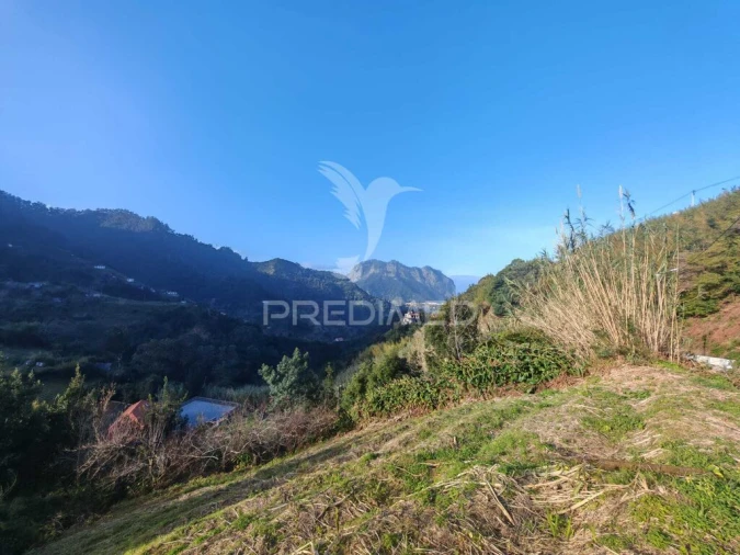 Terreno para Venda em Porto da Cruz Foto 4