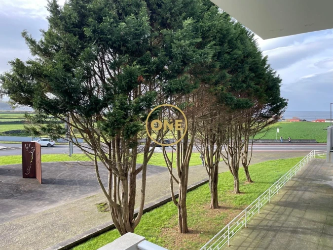 Apartamento T3 para Venda em Ribeira Seca Foto 29