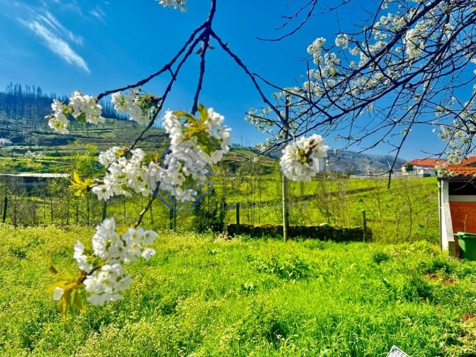 Moradia T2 para Venda em Pomares Foto 36