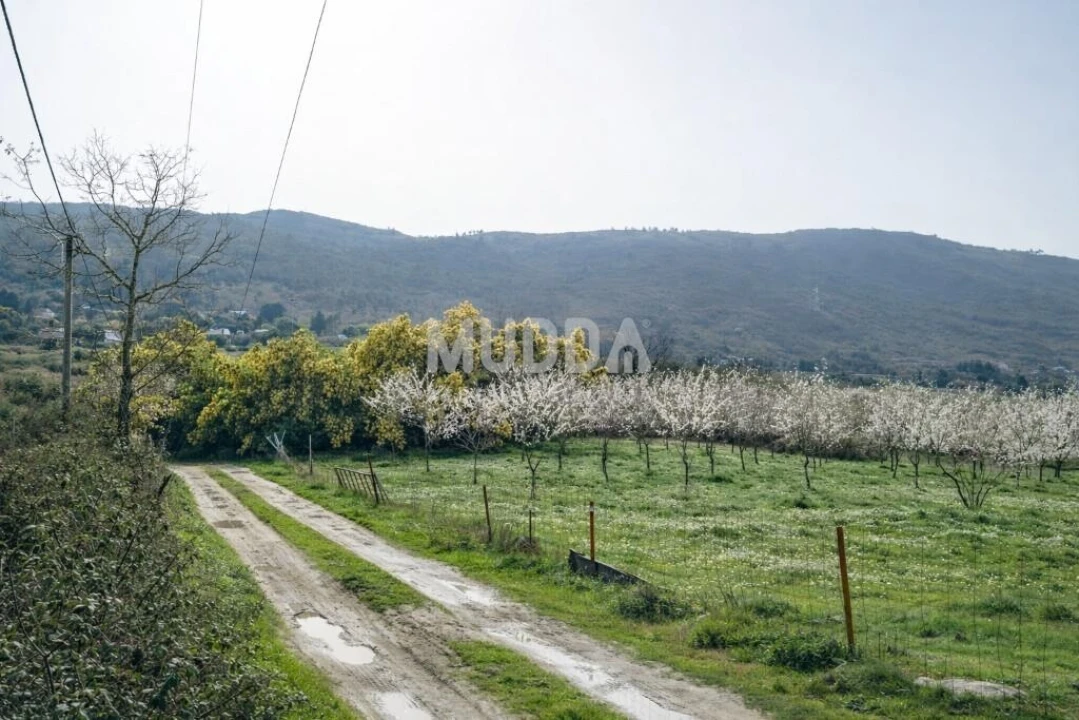 Quinta T5 para Venda em Calvão e Soutelinho da Raia Foto 6