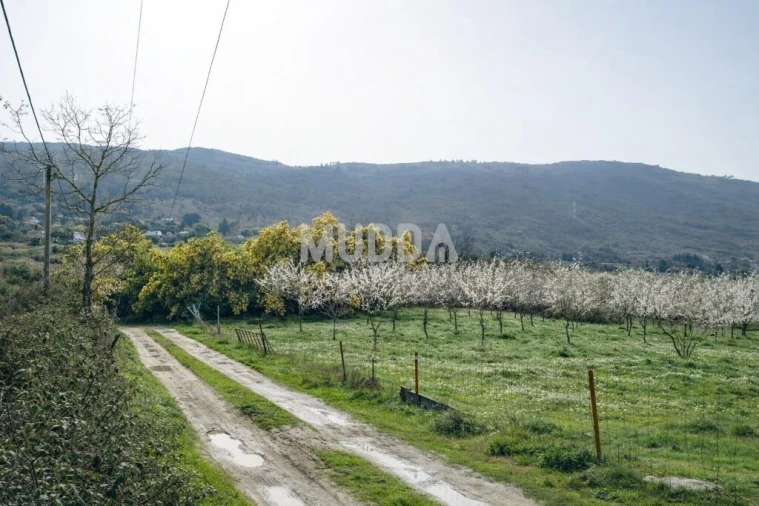 Quinta T5 para Venda em Calvão e Soutelinho da Raia Foto 6