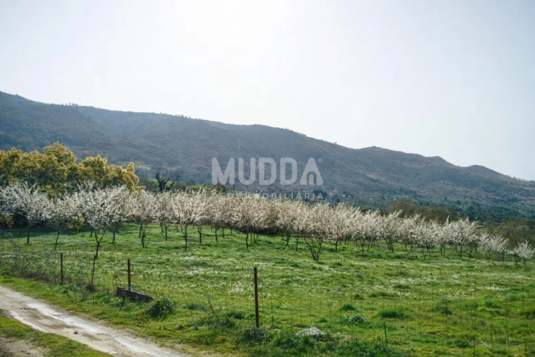 Quinta T5 para Venda em Calvão e Soutelinho da Raia Foto 5