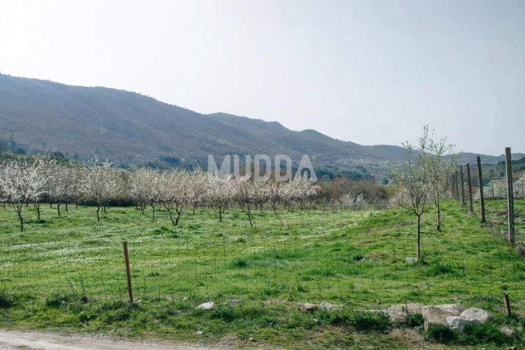 Quinta T5 para Venda em Calvão e Soutelinho da Raia Foto 7