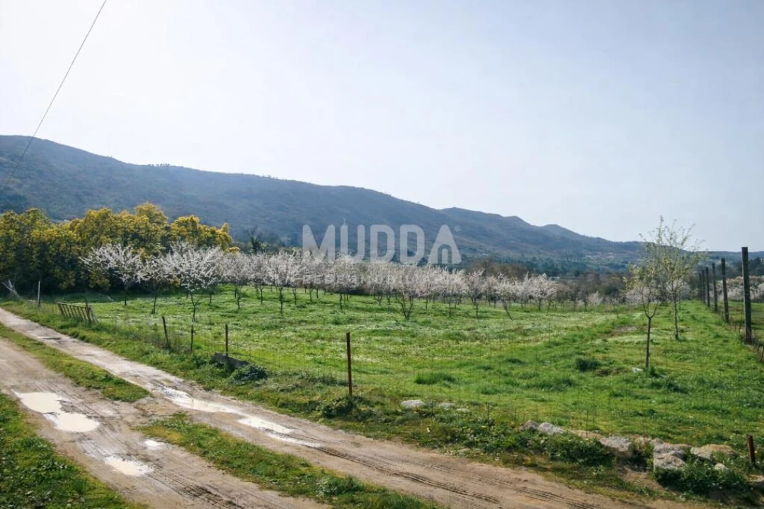 Quinta T5 para Venda em Calvão e Soutelinho da Raia Foto 8