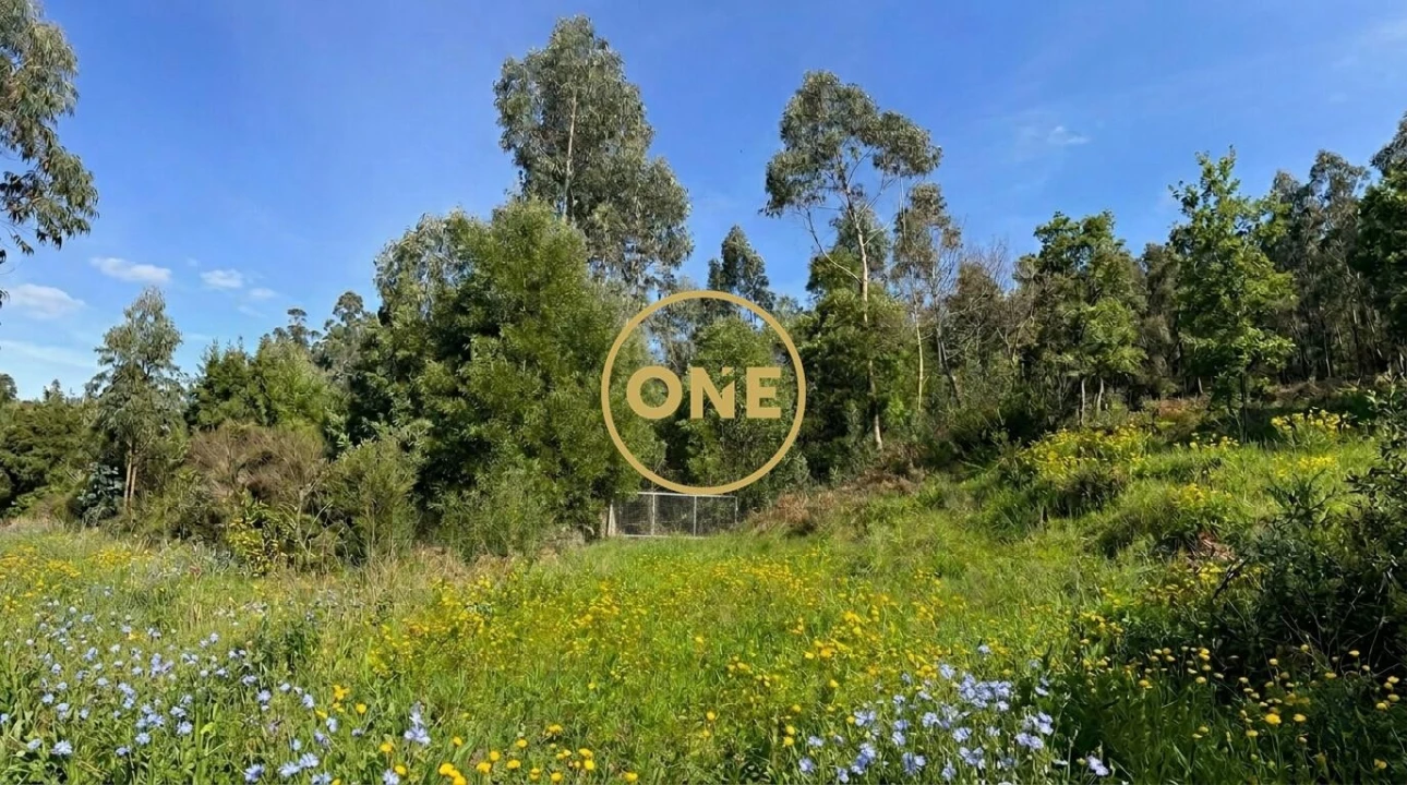 Terreno para Venda em Lemenhe, Mouquim e Jesufrei Foto 1