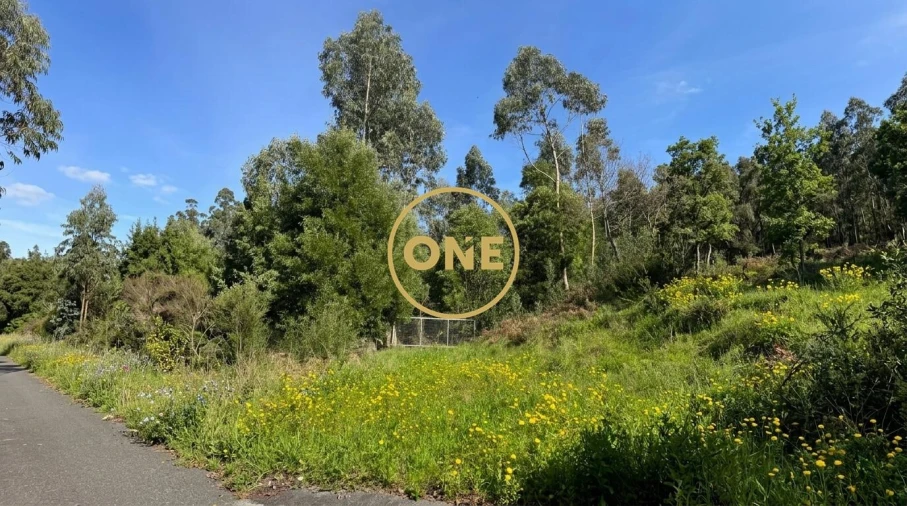 Terreno para Venda em Lemenhe, Mouquim e Jesufrei Foto 2