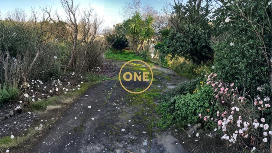 Quinta T6 para Venda em Olaia e Paço Foto 2