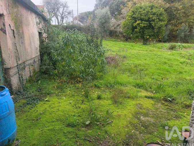 Moradia para Venda em Seixo da Beira Foto 12