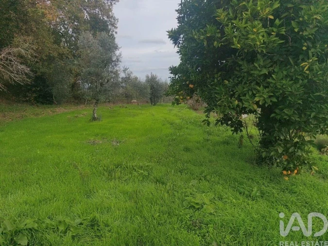 Moradia para Venda em Seixo da Beira Foto 2