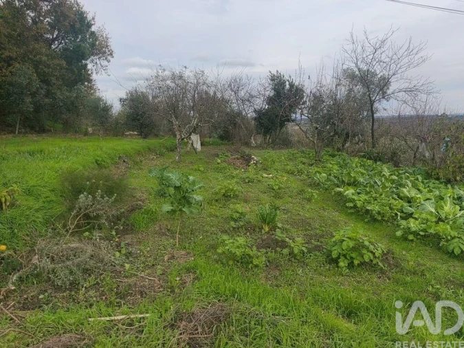 Moradia para Venda em Seixo da Beira Foto 14