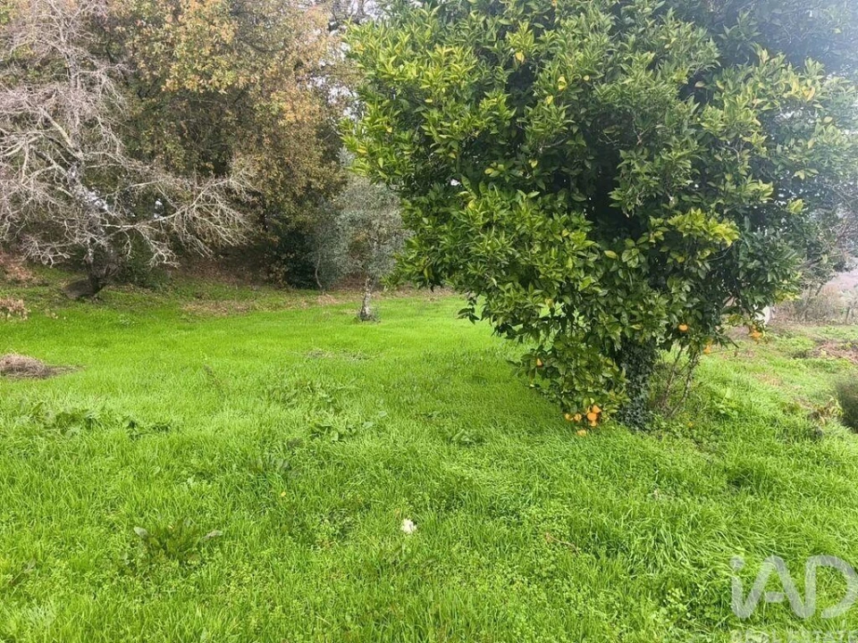 Moradia para Venda em Seixo da Beira Foto 11