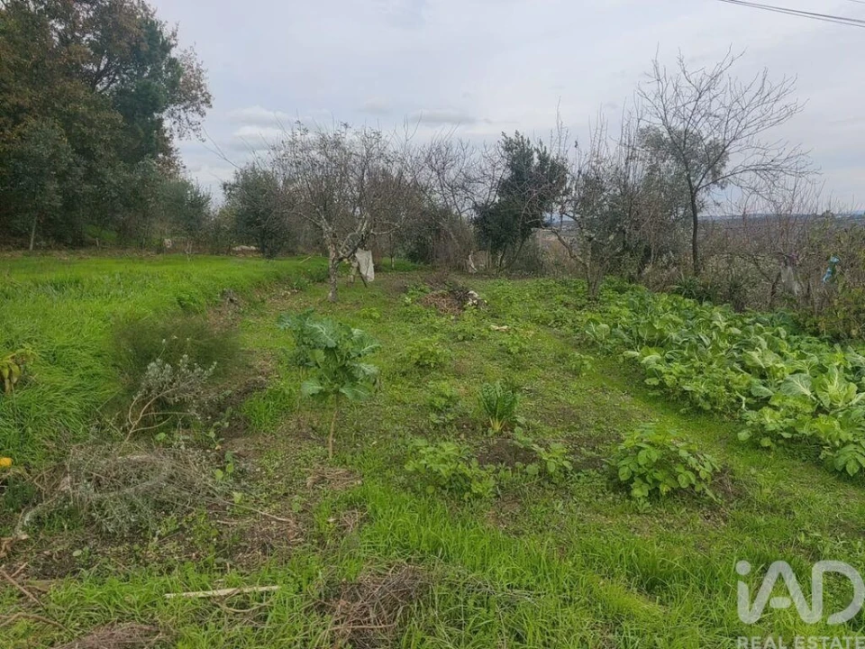 Moradia para Venda em Seixo da Beira Foto 14