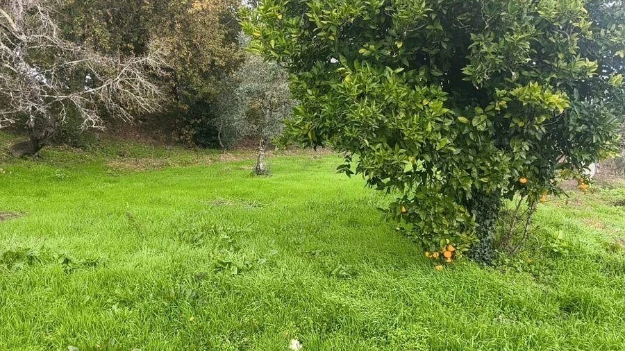 Moradia para Venda em Seixo da Beira