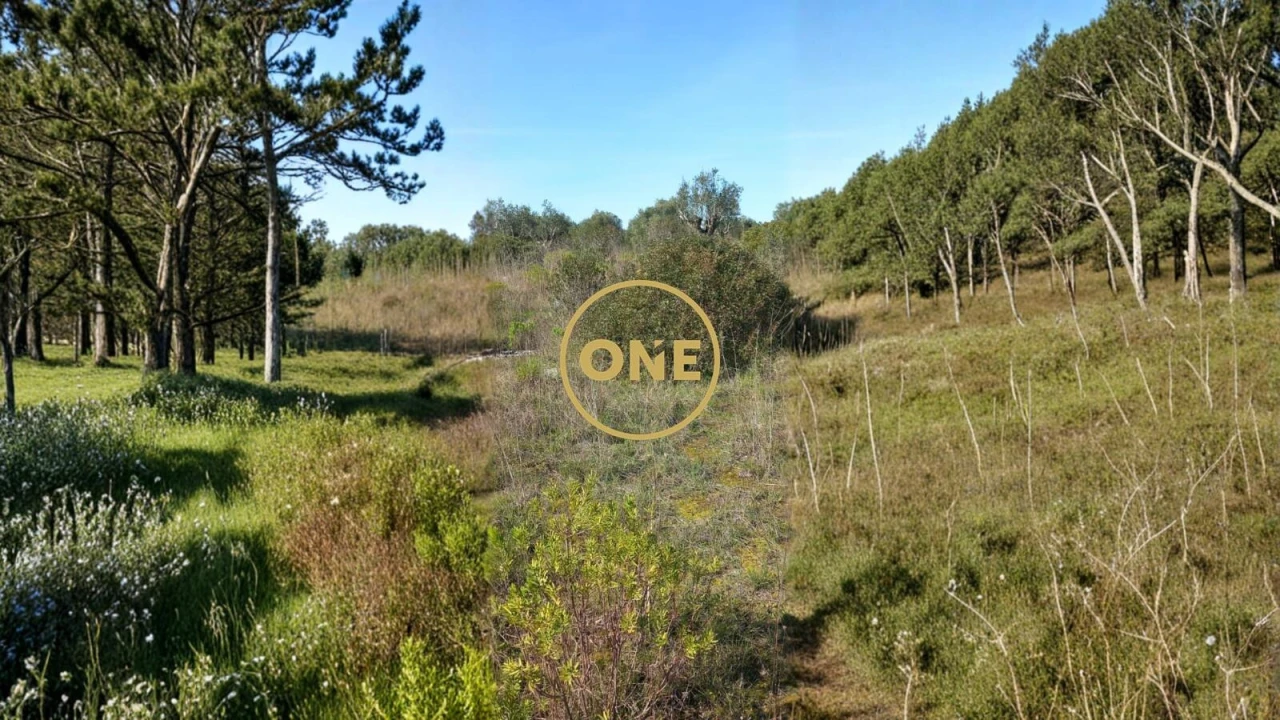 Terreno para Venda em Olaia e Paço Foto 2