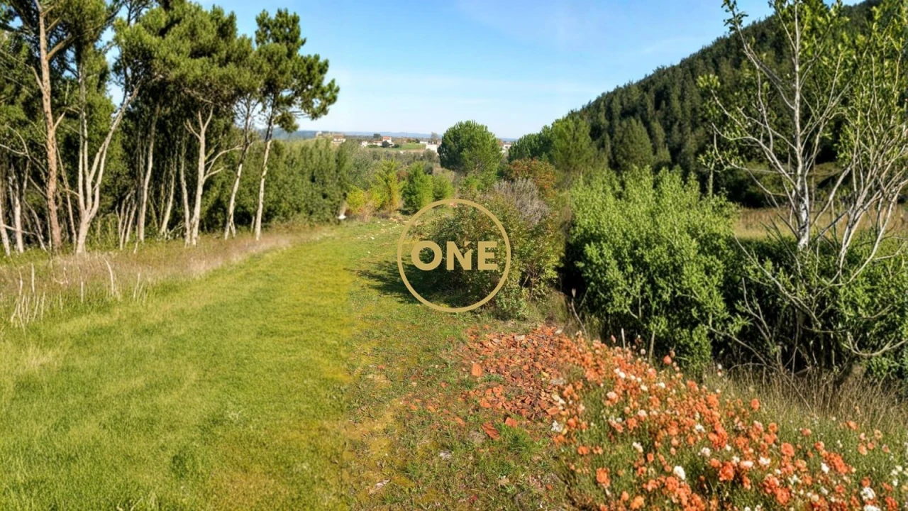 Terreno para Venda em Olaia e Paço Foto 3