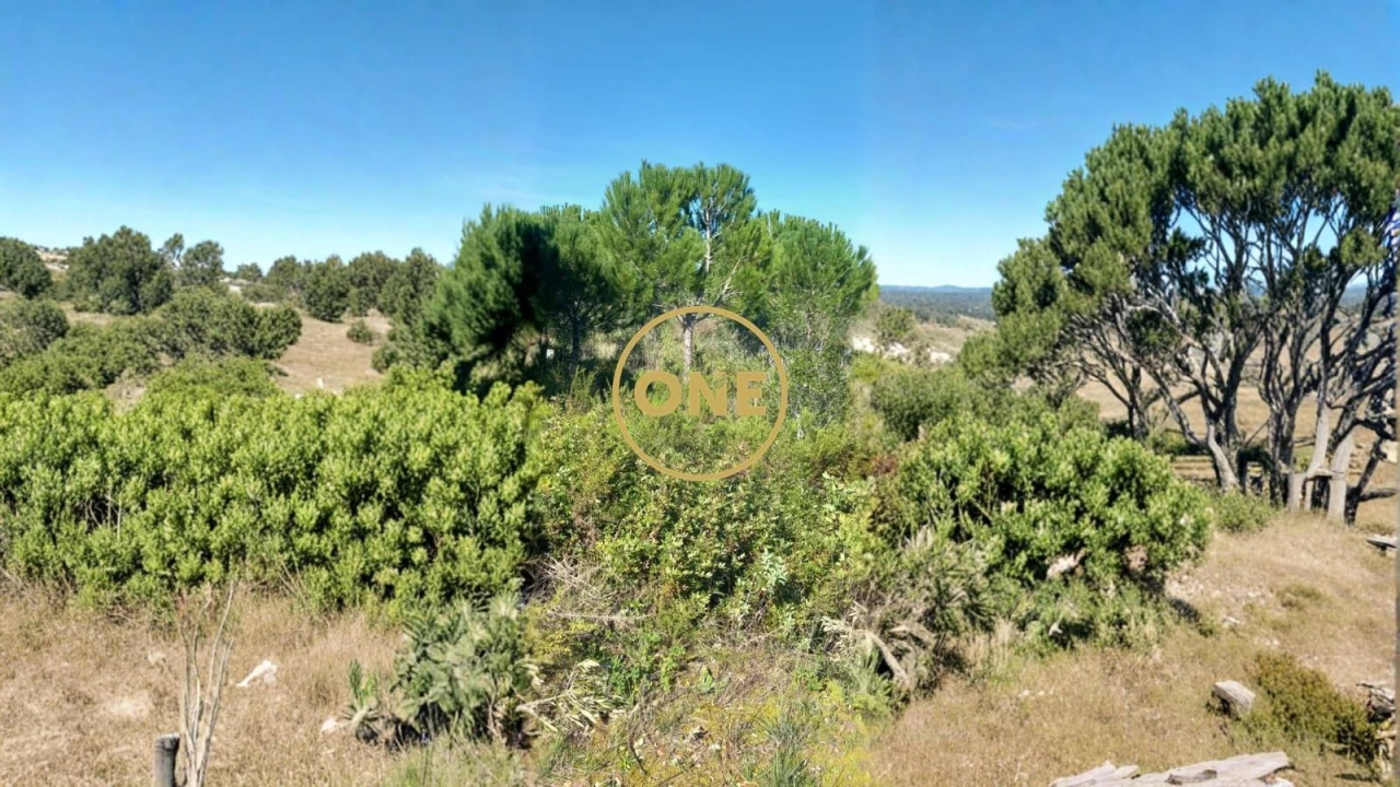Terreno para Venda em Olaia e Paço Foto 6