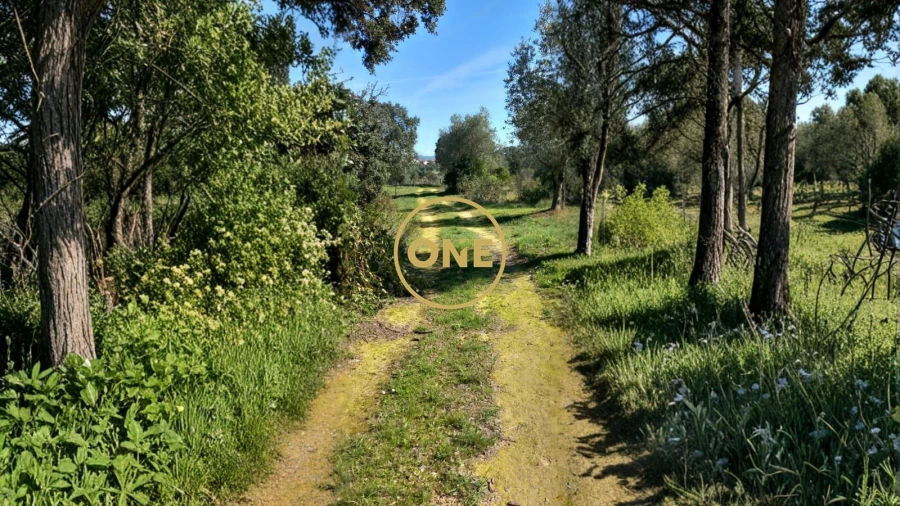 Terreno para Venda em Olaia e Paço