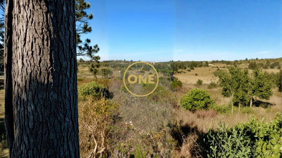 Terreno para Venda em Olaia e Paço Foto 9